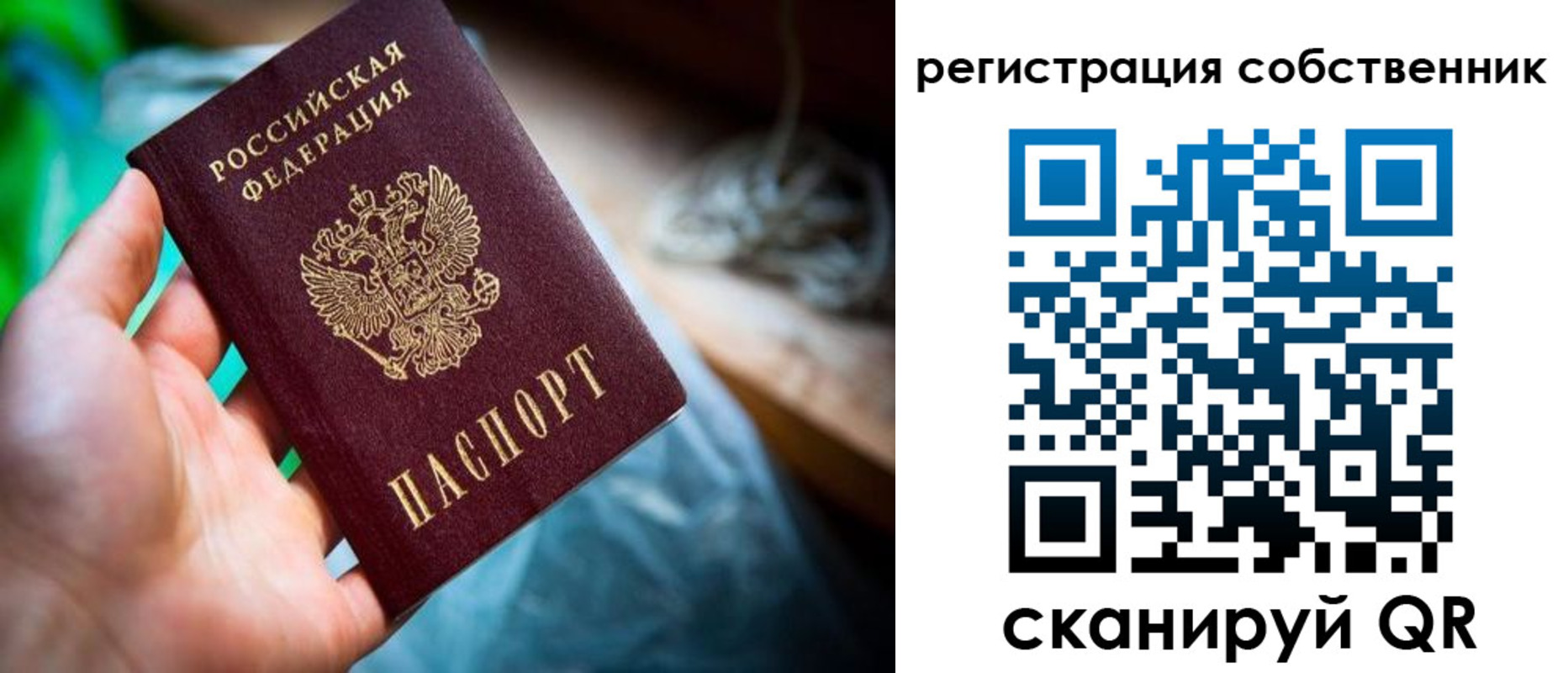 прописка гарантия в Зверево